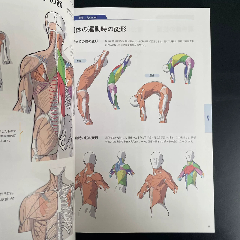 Basic Textbook of Art Anatomy  - Photography Book ulasan dan harga
